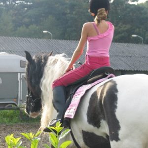 Mee rijden in een les (kinderen & tieners) cadeaukaart