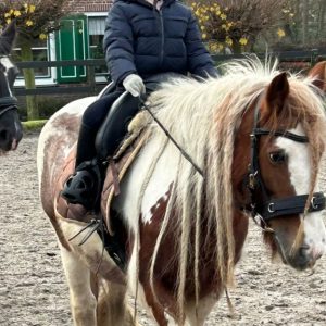 Mee rijden in een les (guppen) cadeaukaart